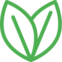 Vegan & Vegetarian Options